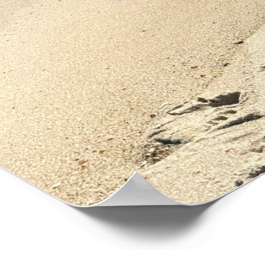 Kustlijn met Rocks and Waves Poster (Hoek)