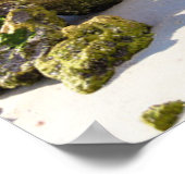 Kustlijn | Napels Pier, Southwest Florida Poster (Hoek)