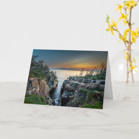 Kustlijn | Nationaal park Acadia, Maine Kaart (Gele Bloem)