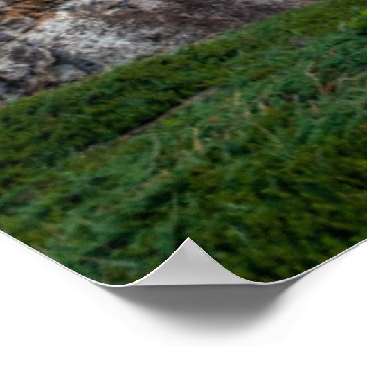 Kustlijn | Nationaal park Acadia, Maine Poster (Hoek)