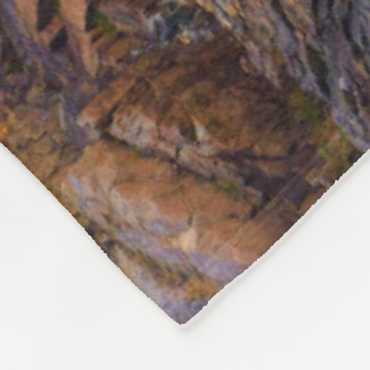 Kustlijn | Nationaal park Acadia, Schooner Head Fleece Deken (Hoek)