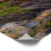 Kustlijn | Nationaal park Acadia, Schooner Head Poster (Hoek)