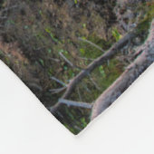 Kustlijn | Nationaal park Ravens Nest Acadia Fleece Deken (Hoek)