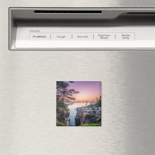 Kustlijn | Nationaal park Ravens Nest Acadia Magneet (Insitu (Vaatwasser))