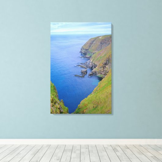 Kustlijn Newfoundland Canvas Afdruk (Insitu (Houten vloer))