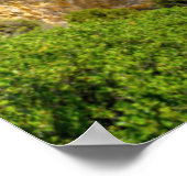 Kustlijn | Palaiokastritsa, Corfu, Griekenland Poster (Hoek)