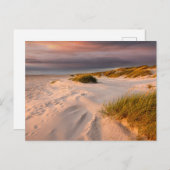 Kustlijn | Saltum Beach, Denemarken Briefkaart (Voorkant / Achterkant)