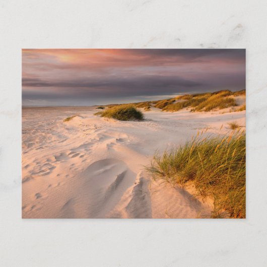 Kustlijn | Saltum Beach, Denemarken Briefkaart (Voorkant)