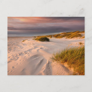 Kustlijn   Saltum Beach, Denemarken Briefkaart