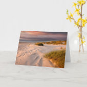 Kustlijn | Saltum Beach, Denemarken Kaart (Gele Bloem)