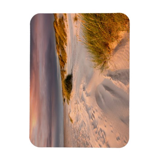 Kustlijn | Saltum Beach, Denemarken Magneet (Verticaal)