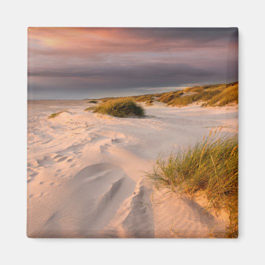 Kustlijn | Saltum Beach, Denemarken Magneet (Voorkant)