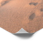 Kustlijn | Saltum Beach, Denemarken Poster (Hoek)