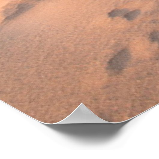 Kustlijn | Saltum Beach, Denemarken Poster (Hoek)