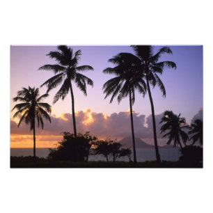 Kustlijn St. Kitts Foto Afdruk