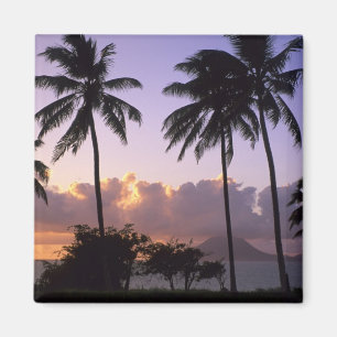 Kustlijn St. Kitts Magneet