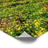 Kustlijn van Big Sur, Californië Poster (Hoek)