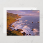 kustlijn van kustmammoetbomen, Californië Briefkaart (Voorkant / Achterkant)