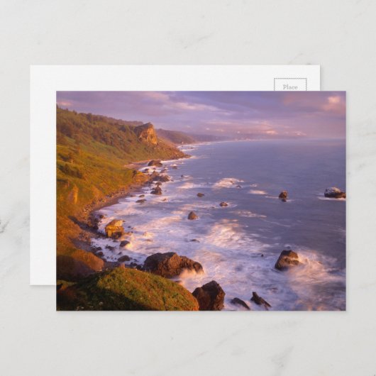 kustlijn van kustmammoetbomen, Californië Briefkaart (Voorkant / Achterkant)