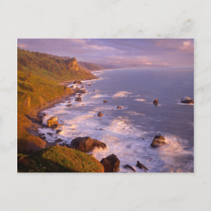 kustlijn van kustmammoetbomen, Californië Briefkaart