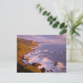 kustlijn van kustmammoetbomen, Californië Briefkaart (Staand voorkant)