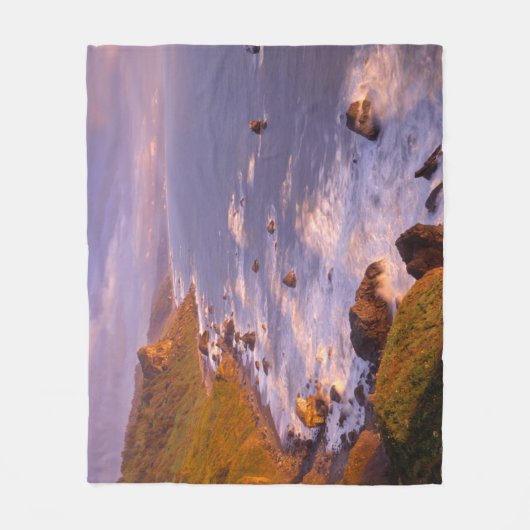 kustlijn van kustmammoetbomen, Californië Fleece Deken (Voorkant)