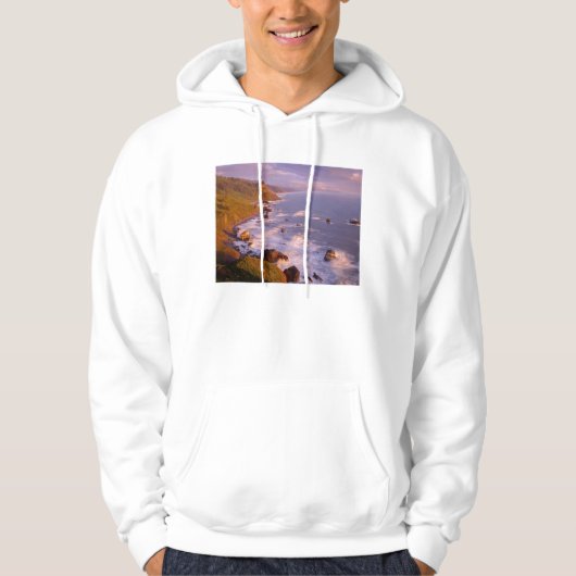kustlijn van kustmammoetbomen, Californië Hoodie (Voorkant)