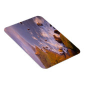 kustlijn van kustmammoetbomen, Californië Magneet (Rechterzijde)