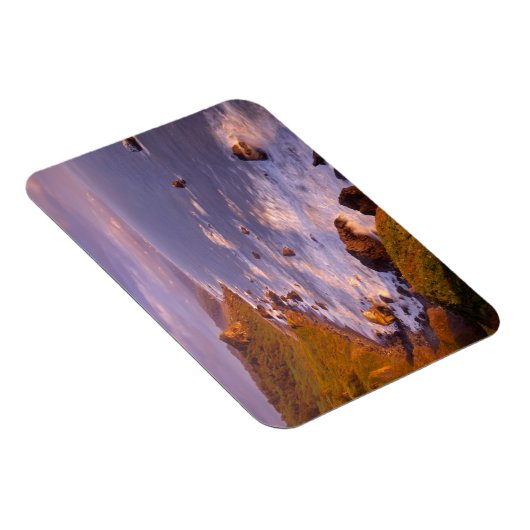 kustlijn van kustmammoetbomen, Californië Magneet (Rechterzijde)