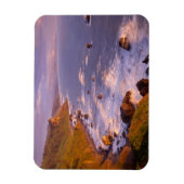 kustlijn van kustmammoetbomen, Californië Magneet (Verticaal)