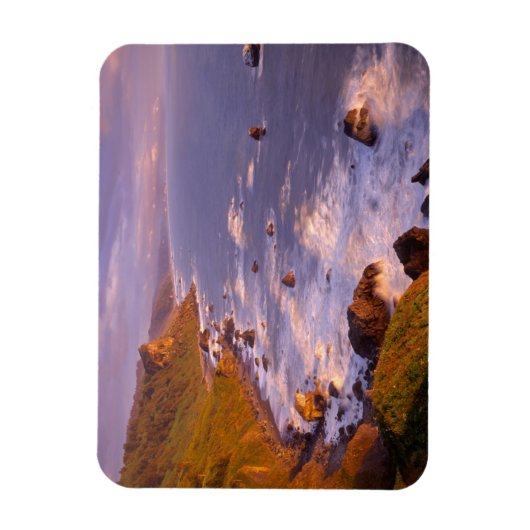 kustlijn van kustmammoetbomen, Californië Magneet (Verticaal)