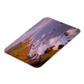 kustlijn van kustmammoetbomen, Californië Magneet (Linkerzijde)