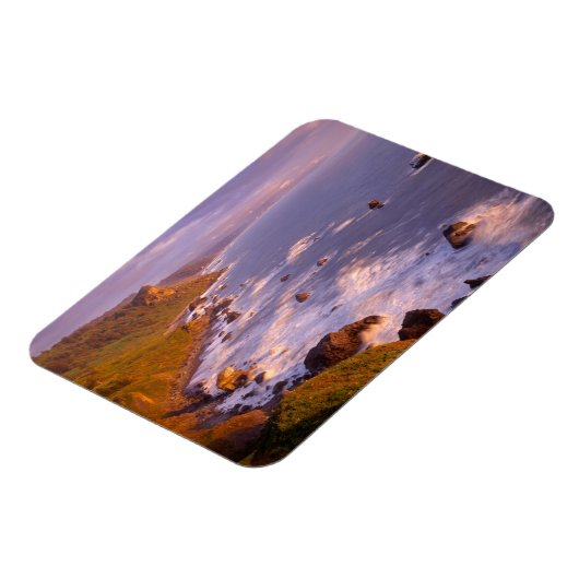 kustlijn van kustmammoetbomen, Californië Magneet (Linkerzijde)