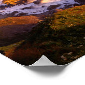 kustlijn van kustmammoetbomen, Californië Poster (Hoek)