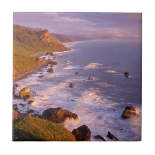 kustlijn van kustmammoetbomen, Californië Tegeltje