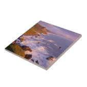 kustlijn van kustmammoetbomen, Californië Tegeltje (Zijkant)