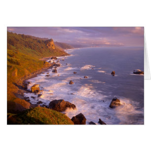 Kustlijn van Redwoods, Californië