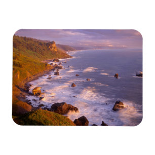 Kustlijn van Redwoods, Californië Magneet