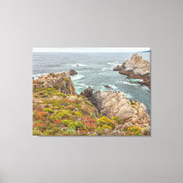 Kustlijn Wilde Bloemen Canvas Afdruk