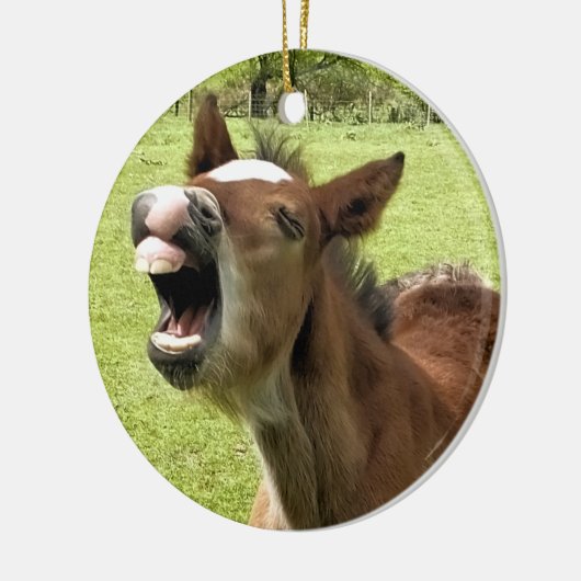 KUSTMAAL KERAMISCH ORNAMENT (Links)