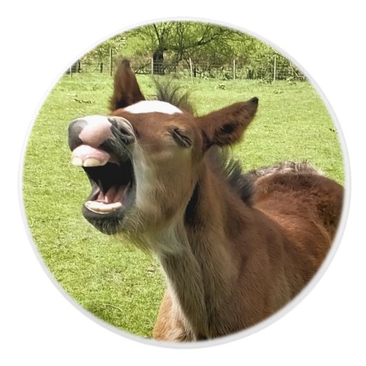 KUSTMAAL KERAMISCHE KNOP (Voorkant)