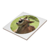 KUSTMAAL TEGELTJE (Zijkant)