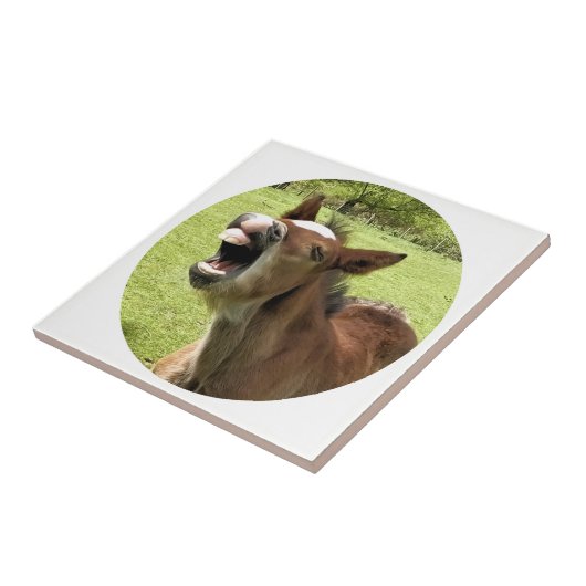 KUSTMAAL TEGELTJE (Zijkant)