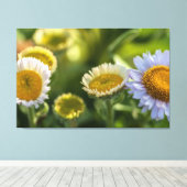 Kustmadeliefjes Canvas Afdruk (Insitu (Houten vloer))