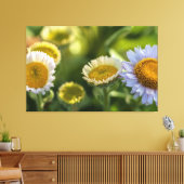 Kustmadeliefjes Canvas Afdruk (Insitu (Woonkamer))