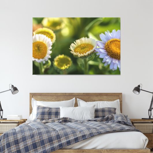 Kustmadeliefjes Canvas Afdruk (Insitu (Slaapkamer))