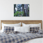 kustmammoetbomen en roodendrons canvas afdruk (Insitu (Slaapkamer))