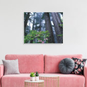 kustmammoetbomen en roodendrons canvas afdruk (Insitu (Woonkamer))