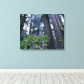 kustmammoetbomen en roodendrons canvas afdruk (Insitu (Houten vloer))