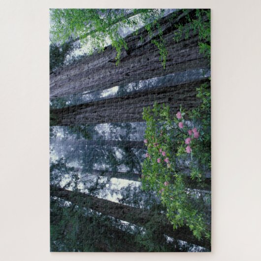 kustmammoetbomen en roodendrons legpuzzel (Verticaal)